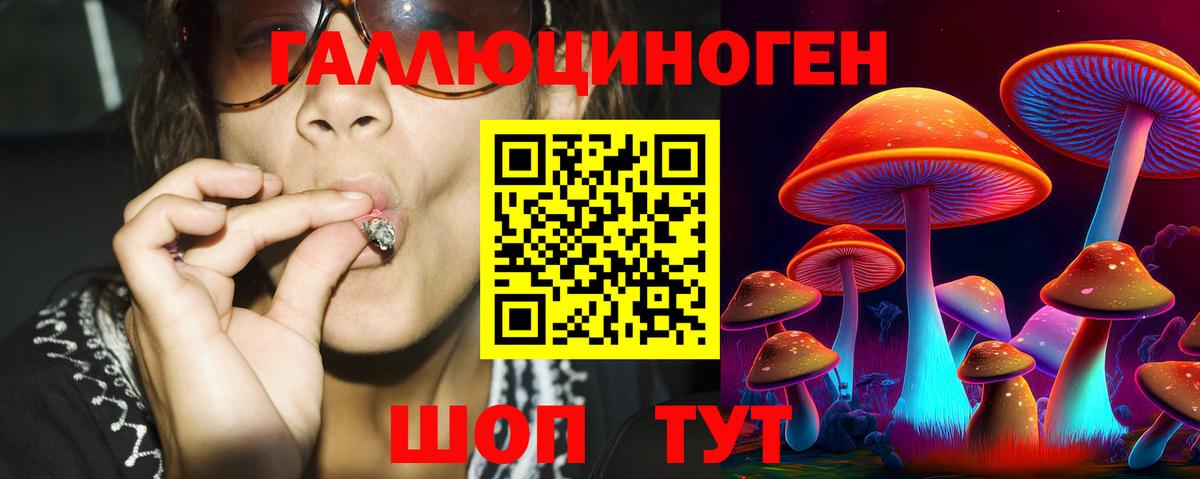 Псилоцибиновые грибы мицелий Майкоп