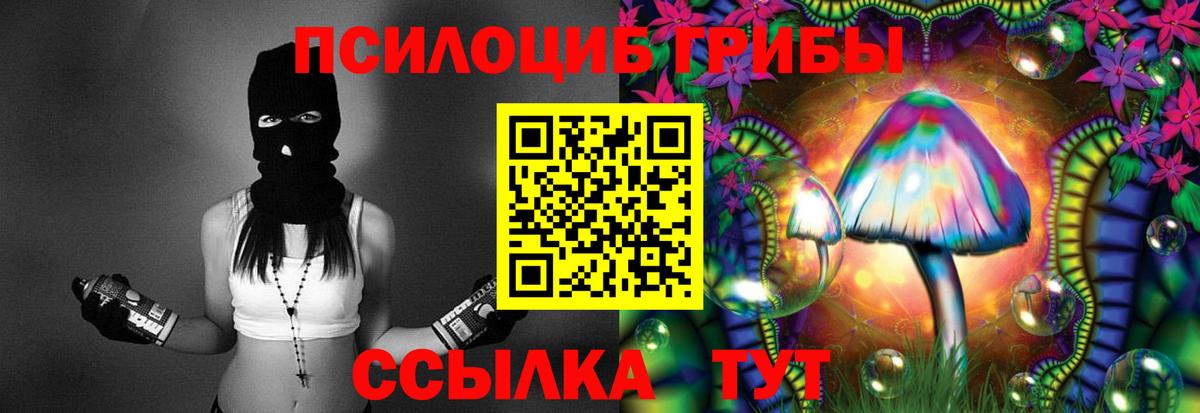 Псилоцибиновые грибы мицелий  Псилоцибиновые грибы GOLDEN TEACHER  Майкоп  Вход с VPN 